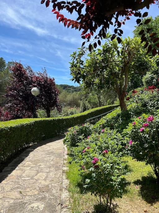 Apartamento De Lujo Vergel Suite San Martín de Valdeiglesias Exteriör bild